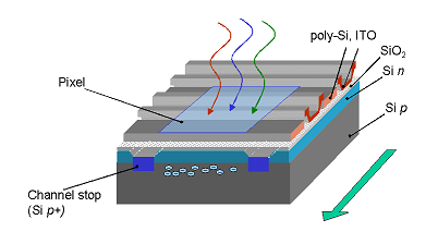 CCD传感器芯片结构图和PCB原理图和布局都是相似的