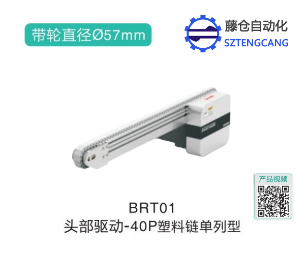 皮带输送机头部驱动塑料链单列型BRT01(图1)