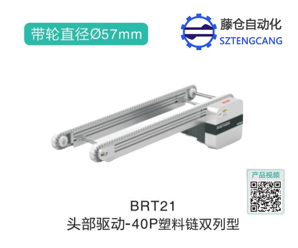 双列型头部驱动皮带链板式输送机BRT21(图1)