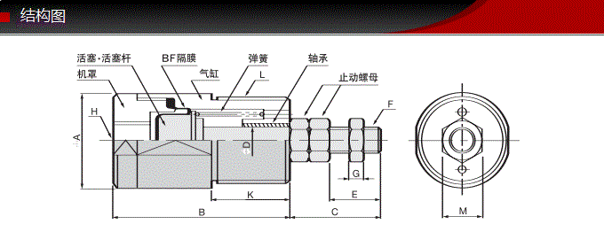 FCS-20-22-S0/S1-P藤仓标准气缸(图6)