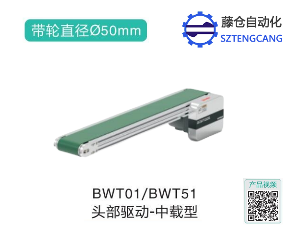 中载型BWT01/BWT51头部驱动链式输送机(图1)
