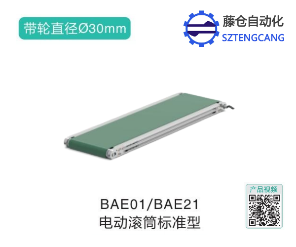 标准型电动滚筒BAE01/BAE21设备输送机(图1)