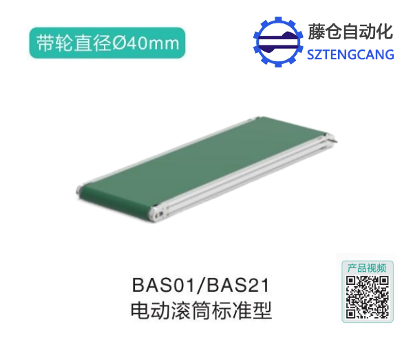 标准型BAS01/BAS21电动动力滚筒输送机(图1)