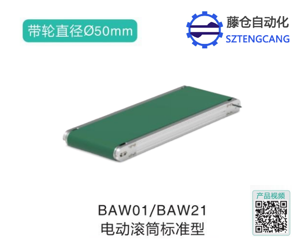 电动标准型滚筒BAW01/BAW21输送机(图1)