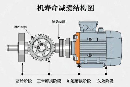 螺旋锥齿轮减速机寿命衰减过快原因有哪些？(图1)